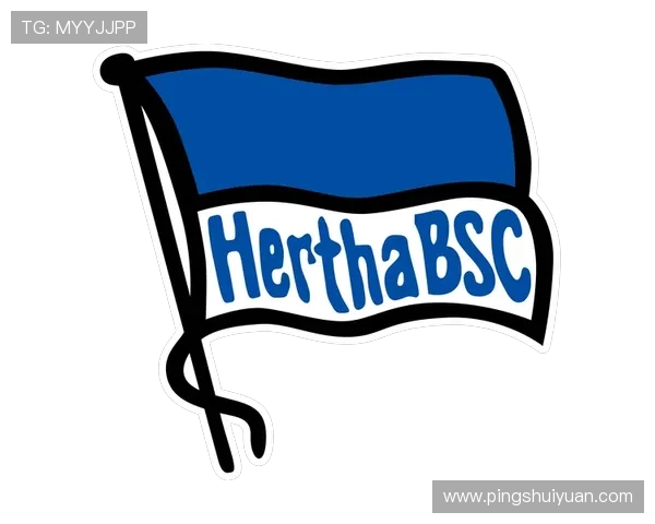 那些被认为队徽难看的德甲球队 那些被认为队徽难看的德甲球队