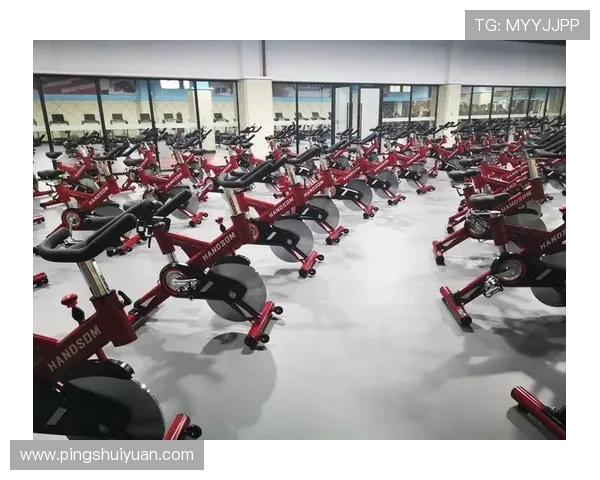 高端健身器材品牌:高端健身器材品牌及其产品优势 高端健身器材品牌:高端健身器材品牌及其产品优势