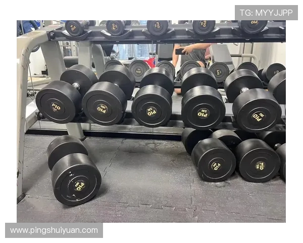 黑龙江家用健身器材十大热门型号